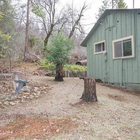 הוילה Miramonte Baltyr Cabin מראה חיצוני תמונה